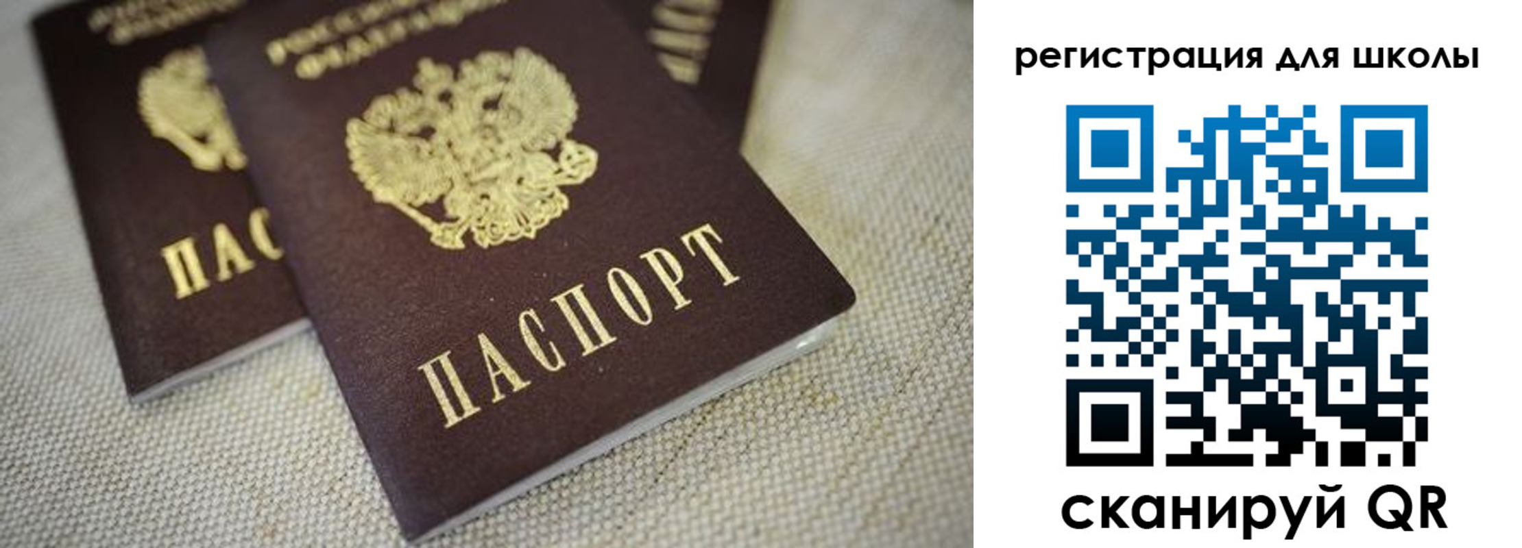прописка в квартире в Вязьме
