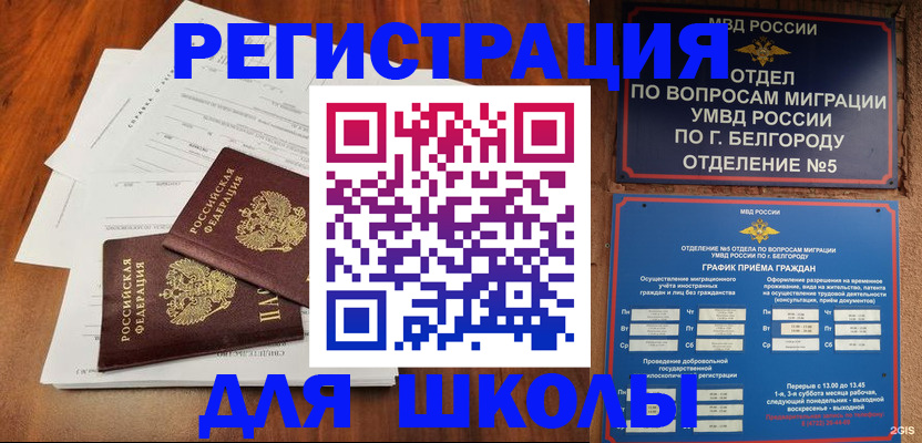 прописка поиск в Вязьме